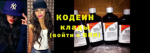 эйфоретик Богданович