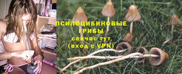 каннабис Богородск