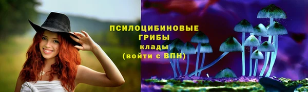 эйфоретик Богданович