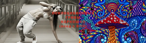эйфоретик Богданович