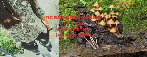 каннабис Богородск